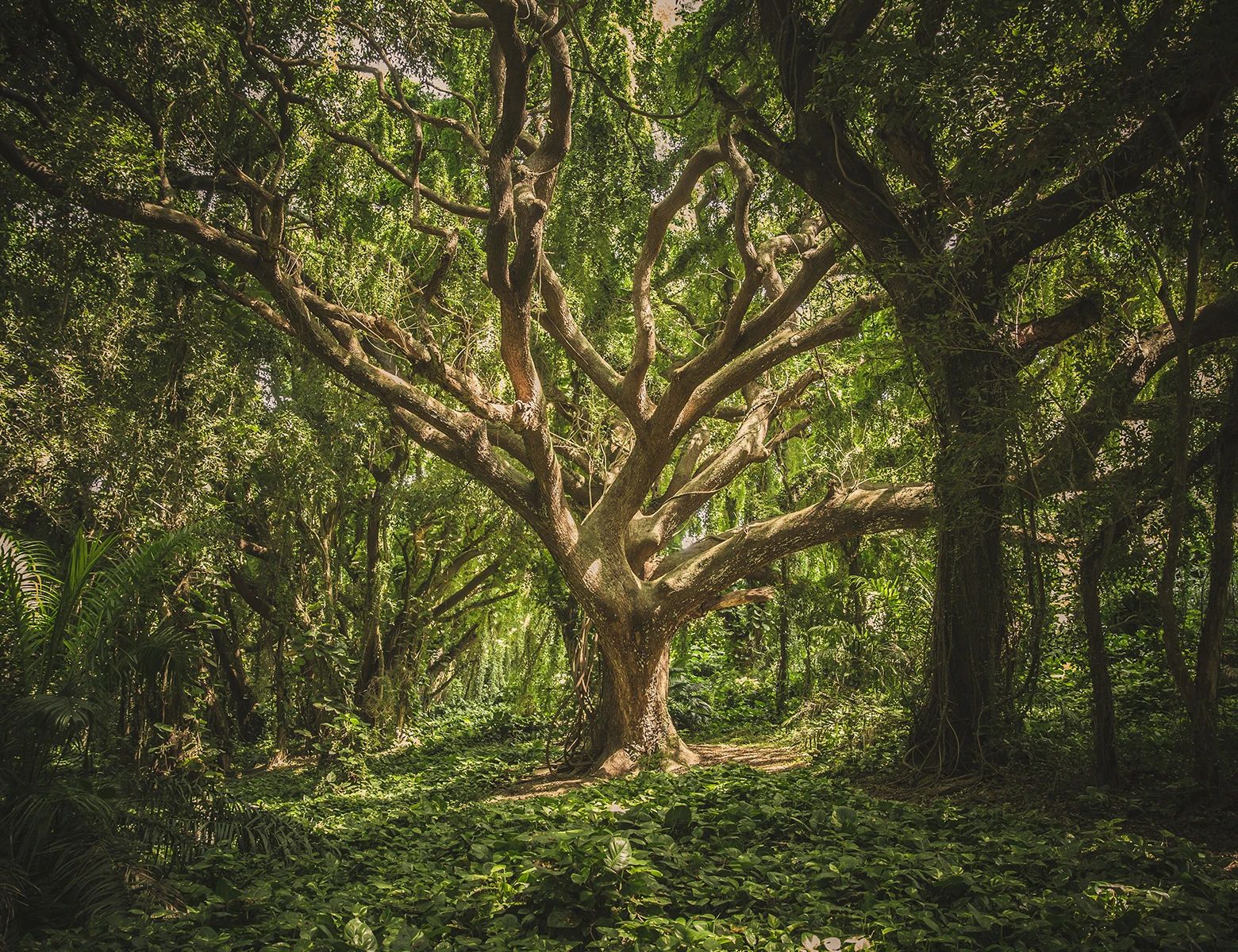 Church Finance Handbook