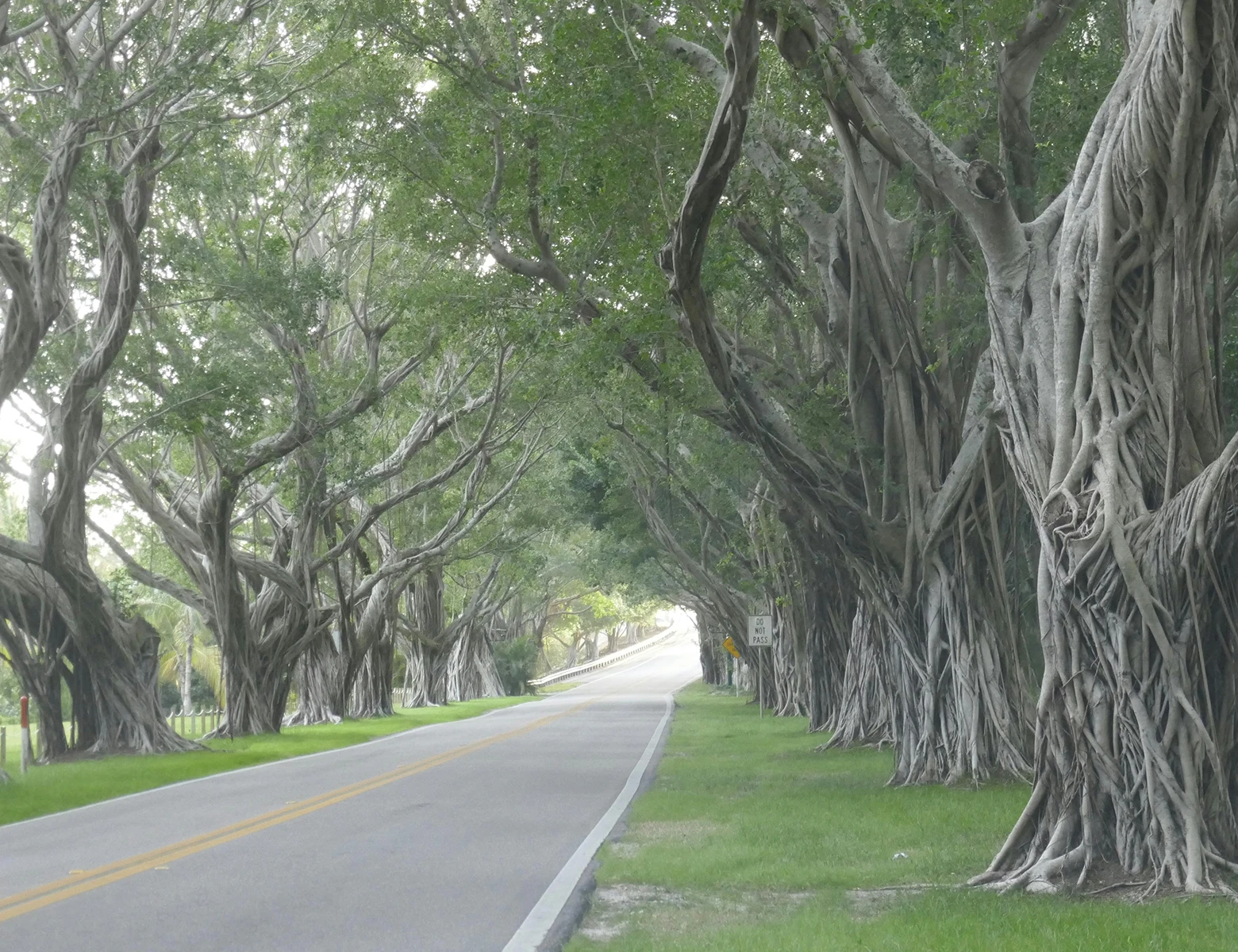 UCC Search and Call Resources