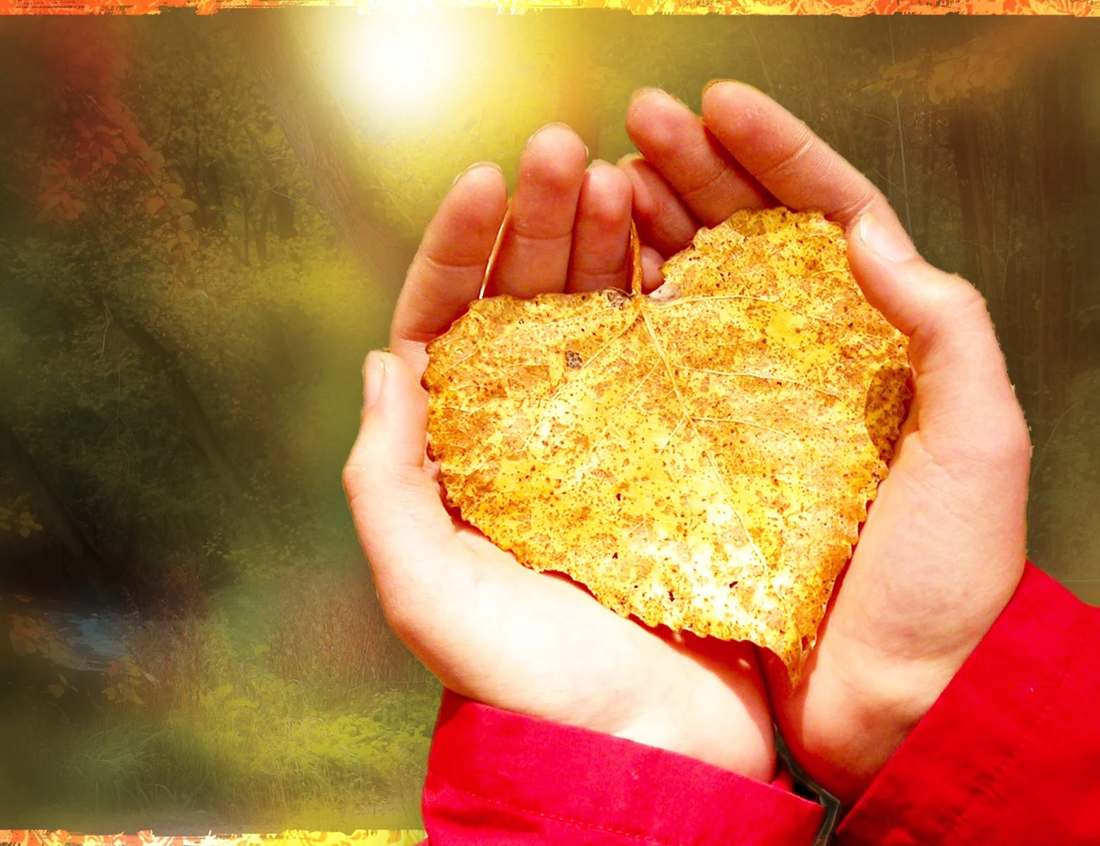 Search and Call Guide