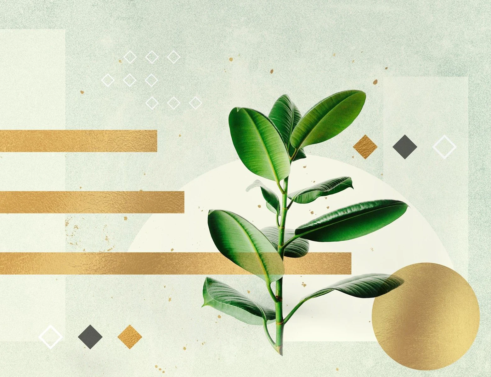 Search and Call Guide